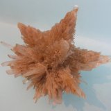 Yeso
11,5 x 8 cm
(Autor: Pedro Conesa)