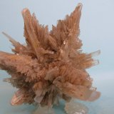 Yeso
11,5 x 8 cm
(Autor: Pedro Conesa)