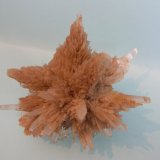Yeso
11,5 x 8 cm
(Autor: Pedro Conesa)