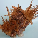 Yeso
16 x 13 cm
(Autor: Pedro Conesa)