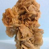 Yeso
9 x 6 cm
(Autor: Pedro Conesa)