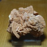 Yeso
120x110 mm
(Autor: Ignacio)
