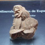Yeso
45x60 mm
(Autor: Ignacio)