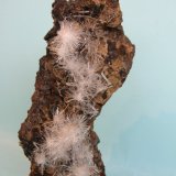 Yeso
15 x 7,5 cm
(Autor: Pedro Conesa)