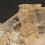 Yeso
13x7 cm
(Autor: Ander Ispizua Juan)