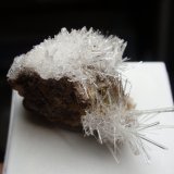 Yeso
25x20 mm
(Autor: Ignacio)