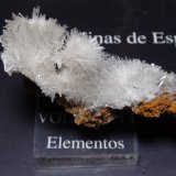 Yeso
70x40 mm
(Autor: Ignacio)