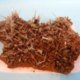 Yeso
10,5 x 9 cm
(Autor: Pedro Conesa)
