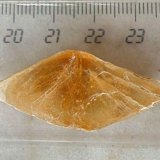Yeso
4 cm.
(Autor: María Jesús M.)