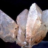 Yeso
77 x 65 x 37 mm.
(Autor: José Luis Zamora)