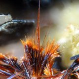 Yuanfuliita
fov 1.3 mm
(Autor: Jordi Fabre)