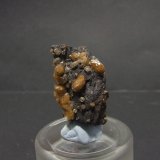 Siderita
35x23mm
(Autor: joaquin gar)