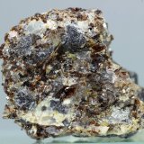 Safirina
31x26 mm
(Autor: Juan Espino)