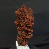 Goethita
95x45mm
(Autor: joaquin gar)