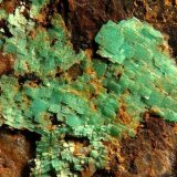 Metazeunerita.
Grupo de cristales de 1,5 cm.
(Autor: Adrian Pesudo)