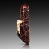 Zircón [Zircon]
4.5 x 4.5 x 14 cm / cristal principal: 13.7 cm
(Autor: Museo MIM)