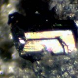 Zirconolita
< 1 mm
(Autor: José Luis Zamora)