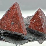Zunyita
30x20 mm
(Autor: Ramon A  Lopez Garcia)