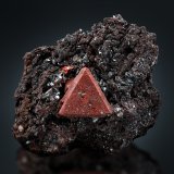 Zunyita
5 x 4 x 2.5 cm / cristal principal: 1.5 cm
(Autor: Museo MIM)