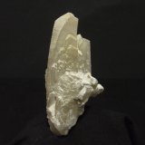 Celestina
85x45x35mm
(Autor: joaquin gar)