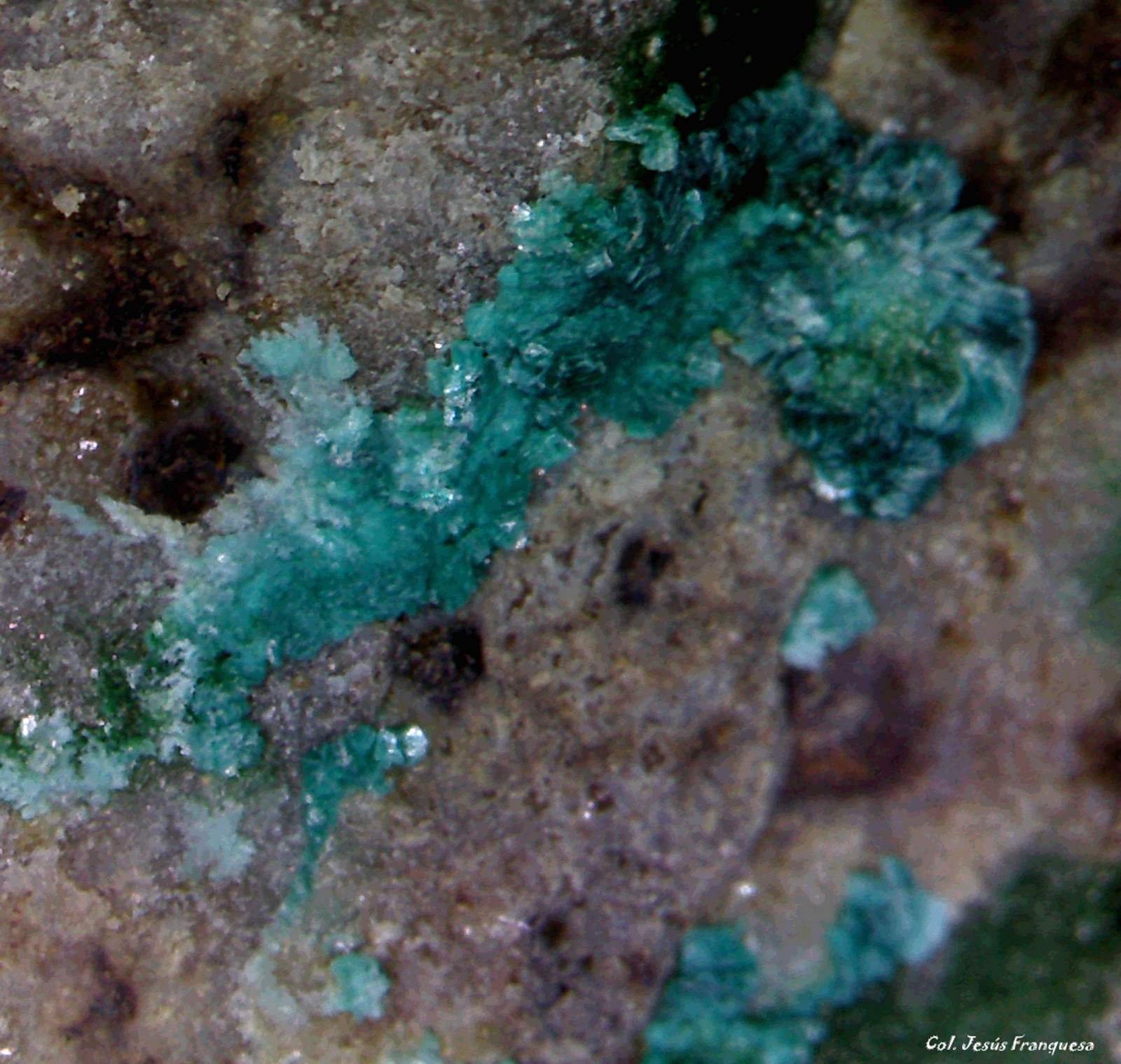Tyrolita (Tirolita)
3´7 x 3´4 mm.
(Autor: Jesus Franquesa Baucells)