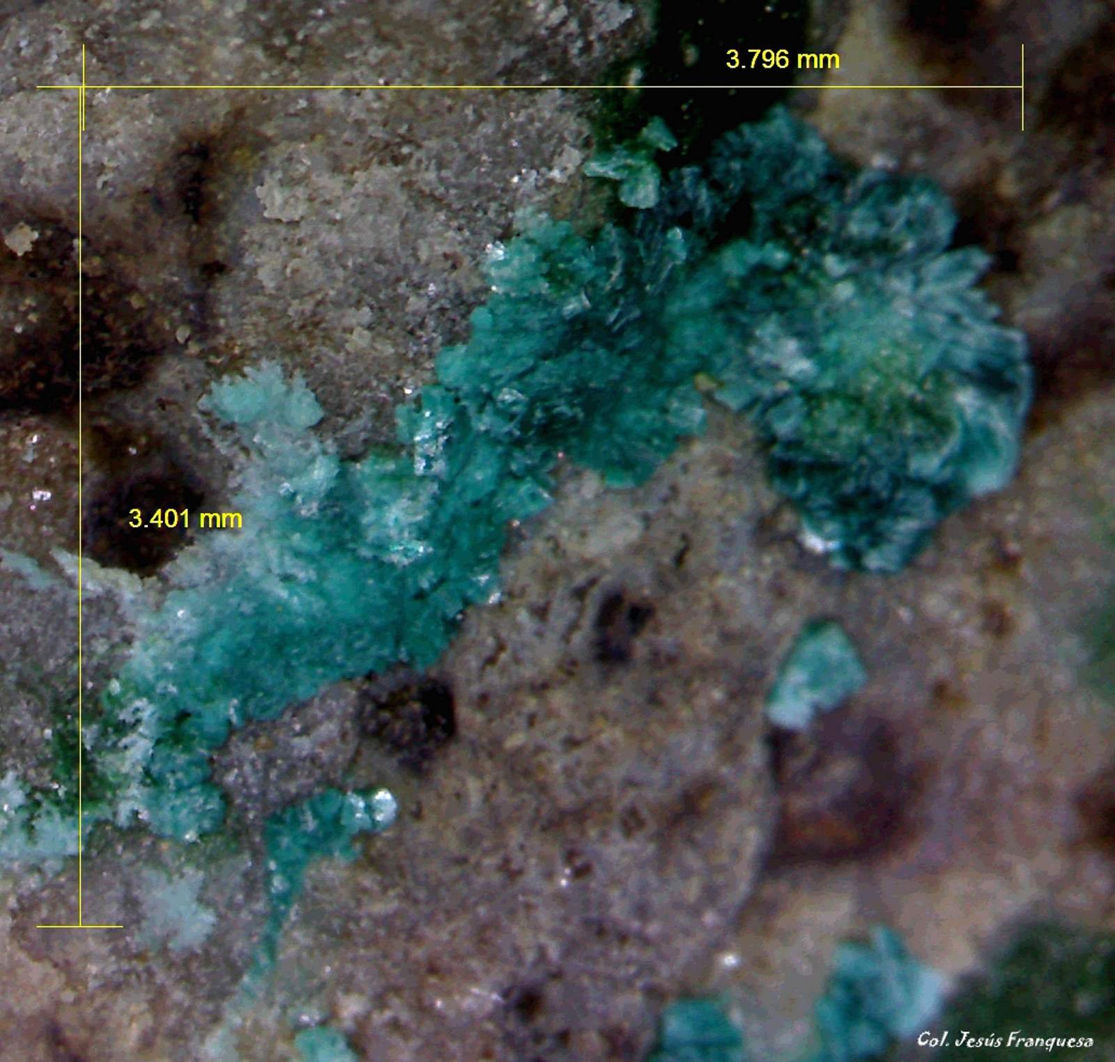 Tyrolita (Tirolita)
3´7 x 3´4 mm.
(Autor: Jesus Franquesa Baucells)