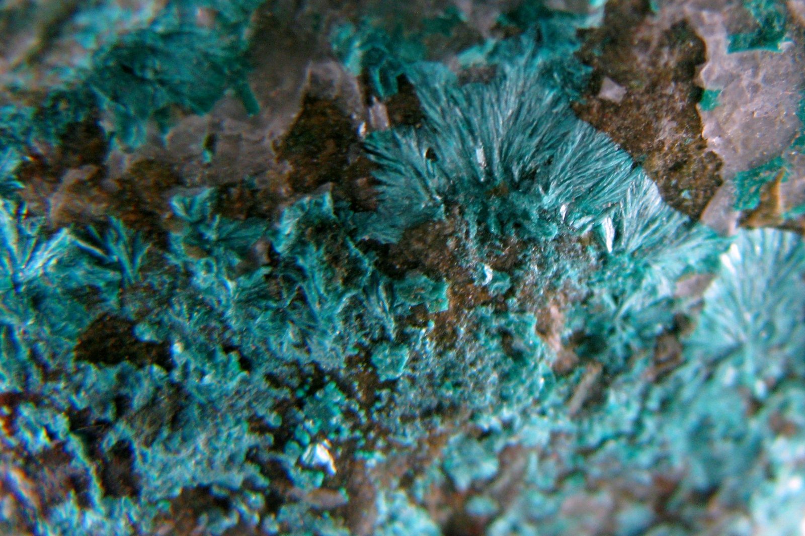 Tyrolita (Tirolita)
43 x 21 x 22 mm.
(Autor: José Luis Zamora)