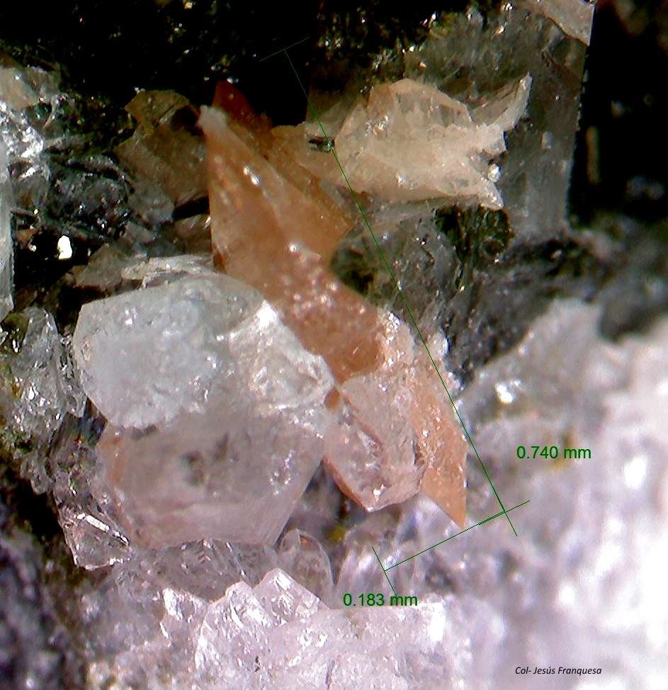 Titanita y Cuarzo.
0´740 x 0´183 mm.
(Autor: Jesus Franquesa Baucells)
