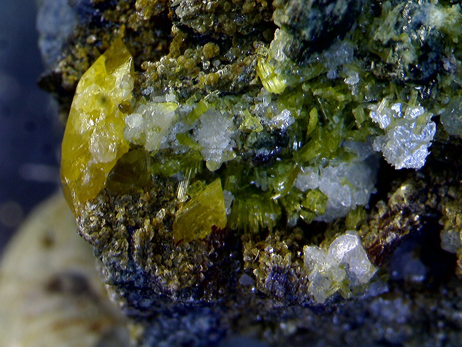 Titanita.
4´62 x 3´41 mm.
(Autor: Jesus Franquesa Baucells)