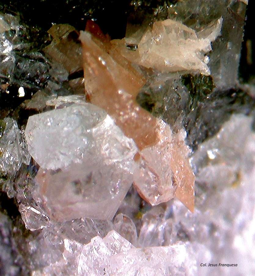 Titanita y Cuarzo.
0´740 x 0´183 mm.
(Autor: Jesus Franquesa Baucells)