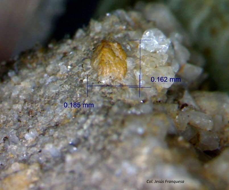 Titanita.
0´185 x 0´162 mm.
(Autor: Jesus Franquesa Baucells)