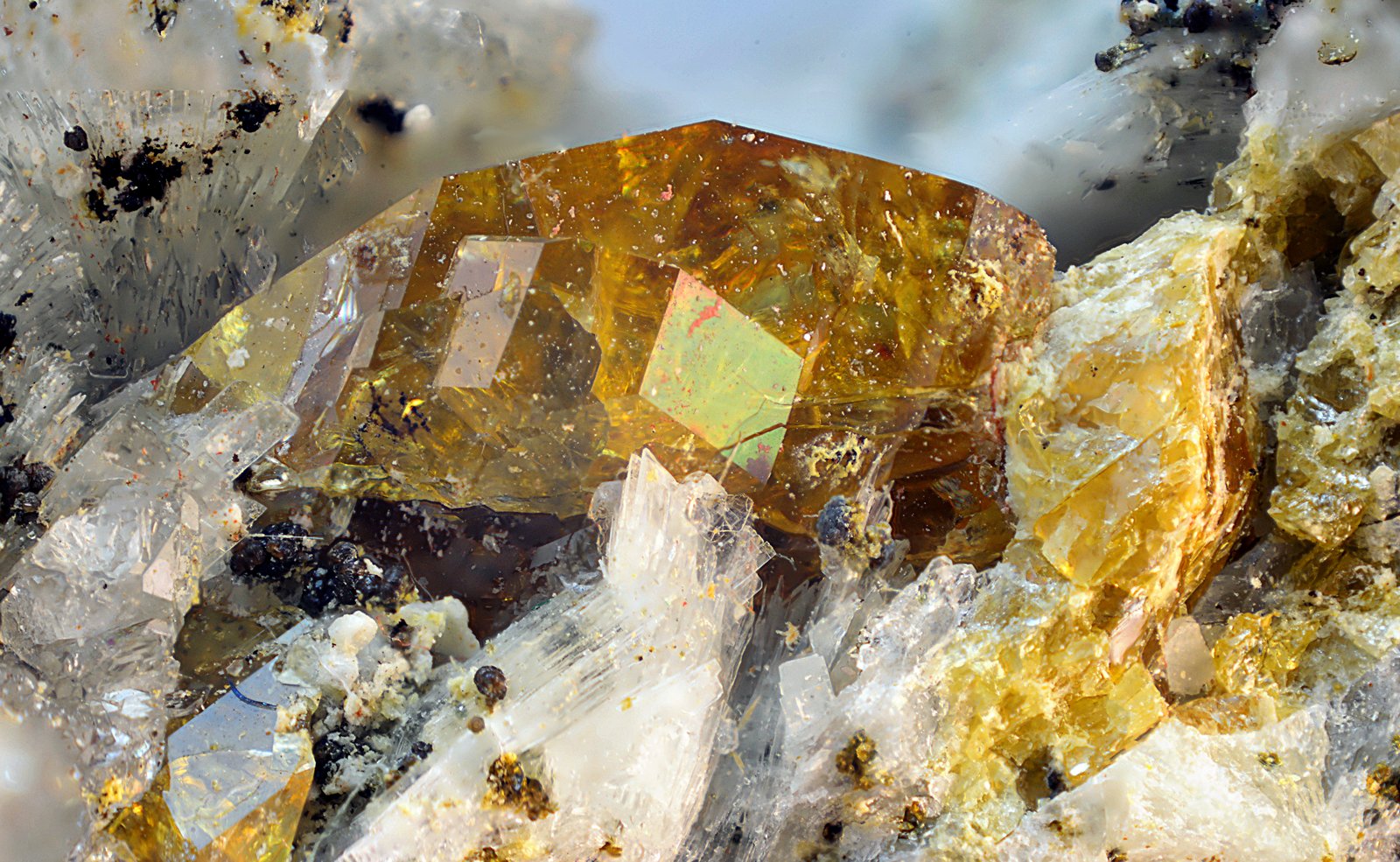 Titanita sobre prehnita.
Cristal de 6 x 3 mm.
(Autor: Antonio Carmona)