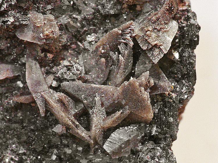 Titanita
Encuadre 1cm
(Autor: Javier MC)