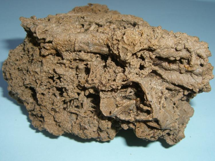 toba caliza
9 x 9 cm
(Autor: Antonio GG)