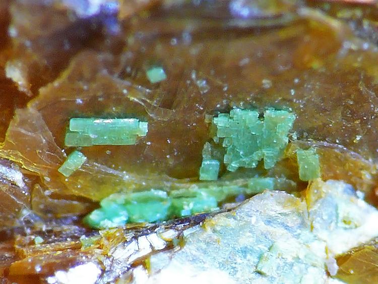 Torbernita
Cristal mayor 1mm
(Autor: Javier MC)