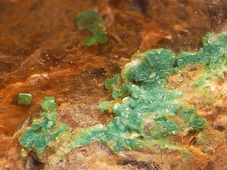 Torbernita
Cristales sobre 1mm
(Autor: Javier MC)