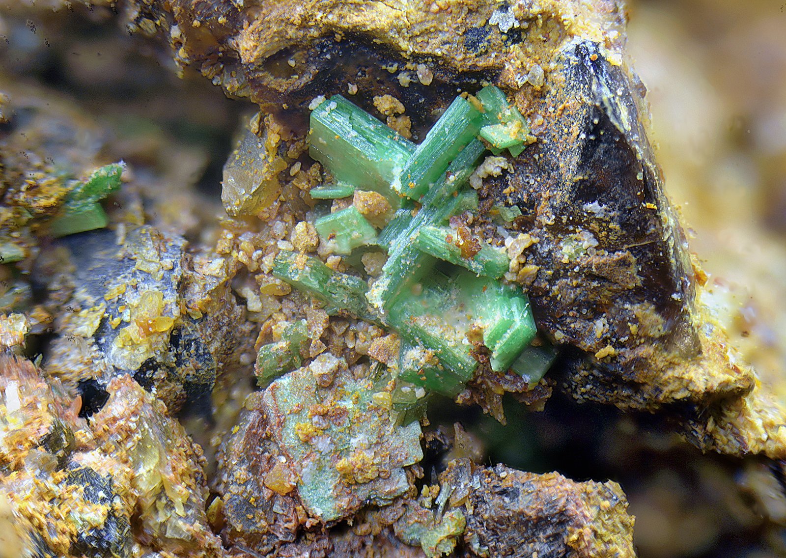Torbernita.
Campo de visión de 4 mm.
(Autor: Antonio Carmona)