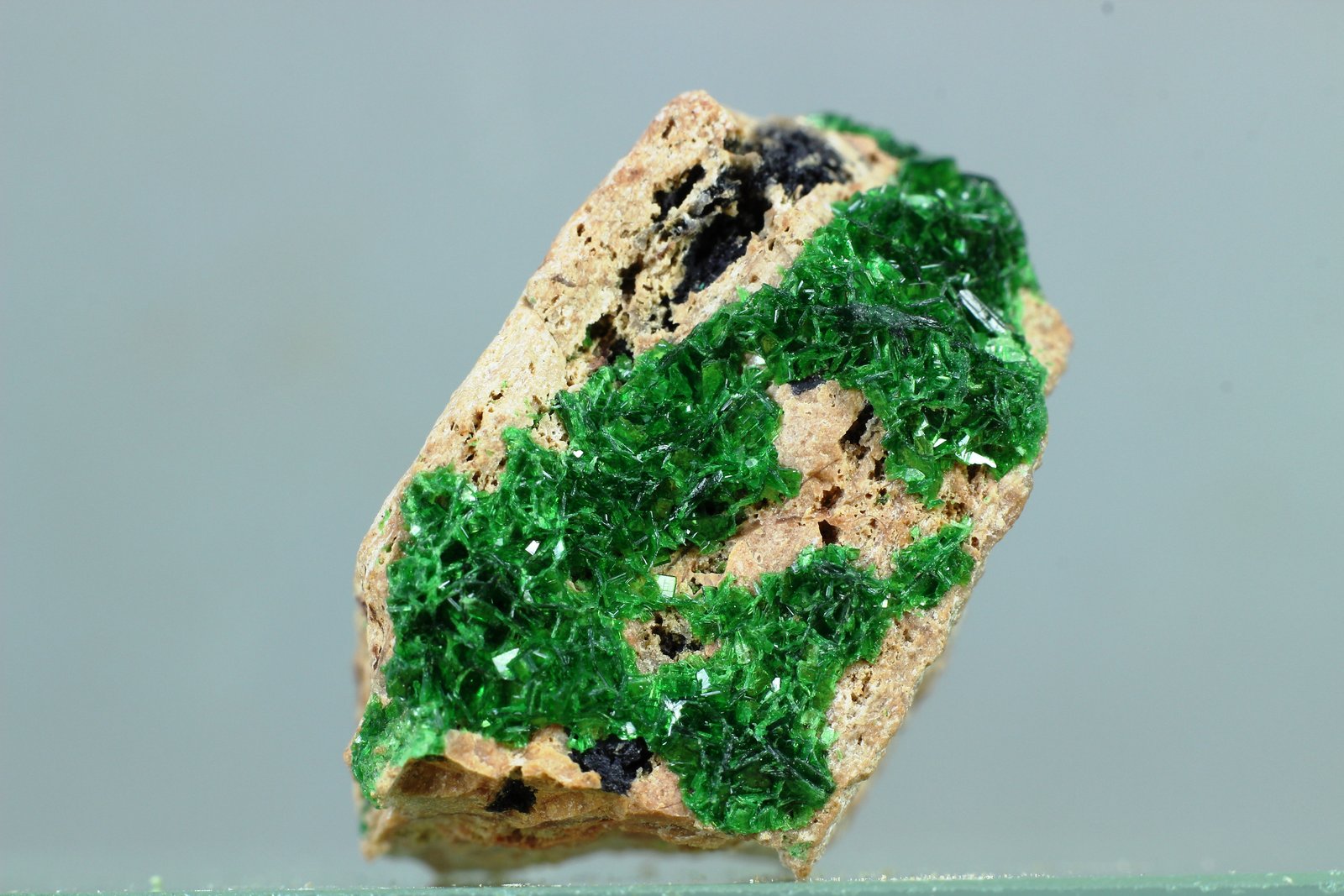 Torbernita
25x24 mm
(Autor: Juan Espino)