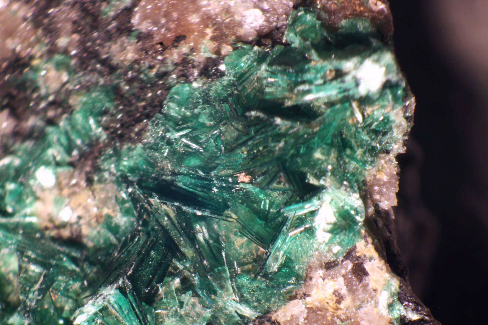 Torbernita
< 1 mm
(Autor: José Luis Zamora)