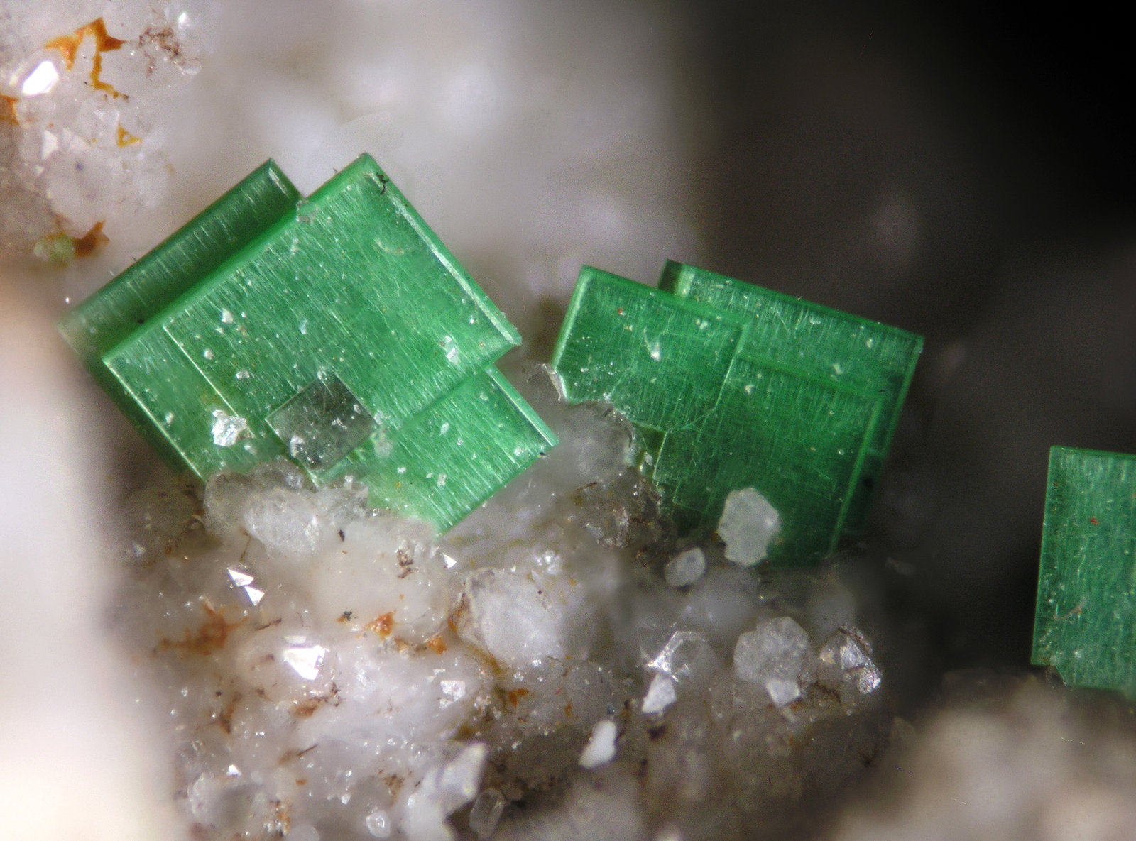 Torbernita
FOV 1.2 cm
(Autor: Cesar M. Salvan)