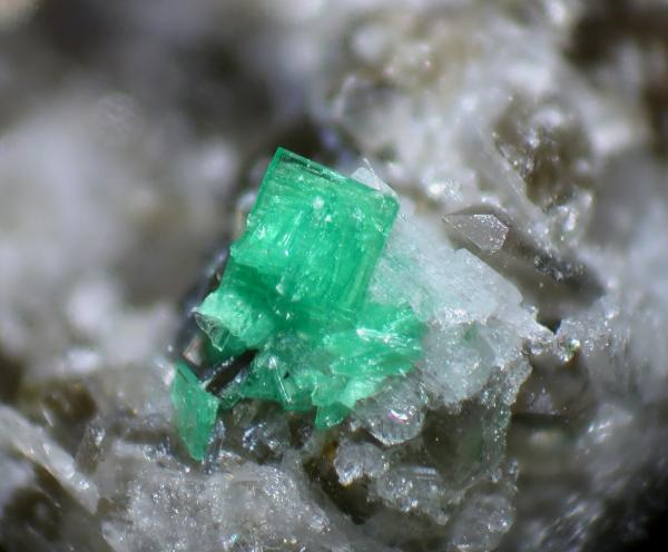 Torbernita
Encuadre 3.7 mm.
(Autor: Cesar M. Salvan)