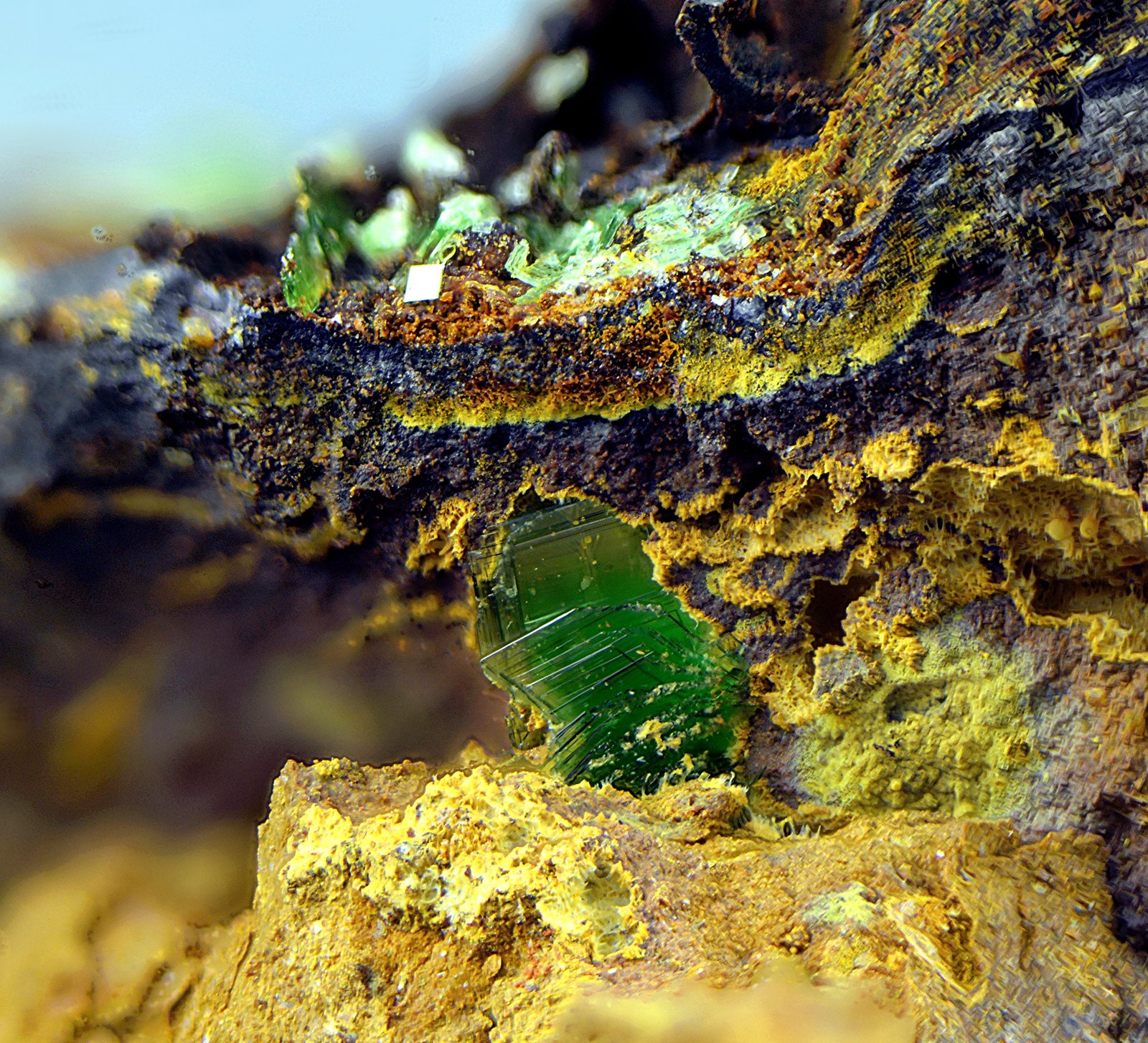 Torbernita
Campo de visión de 2 mm.
(Autor: Antonio Carmona)