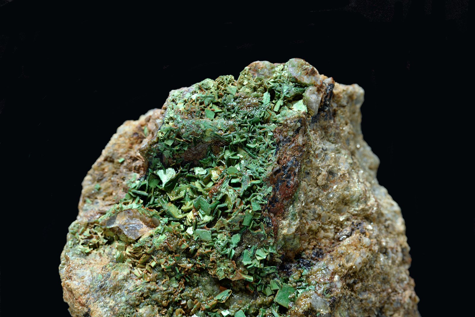Torbernita
50 x 60 mm
(Autor: Antonio Carmona)