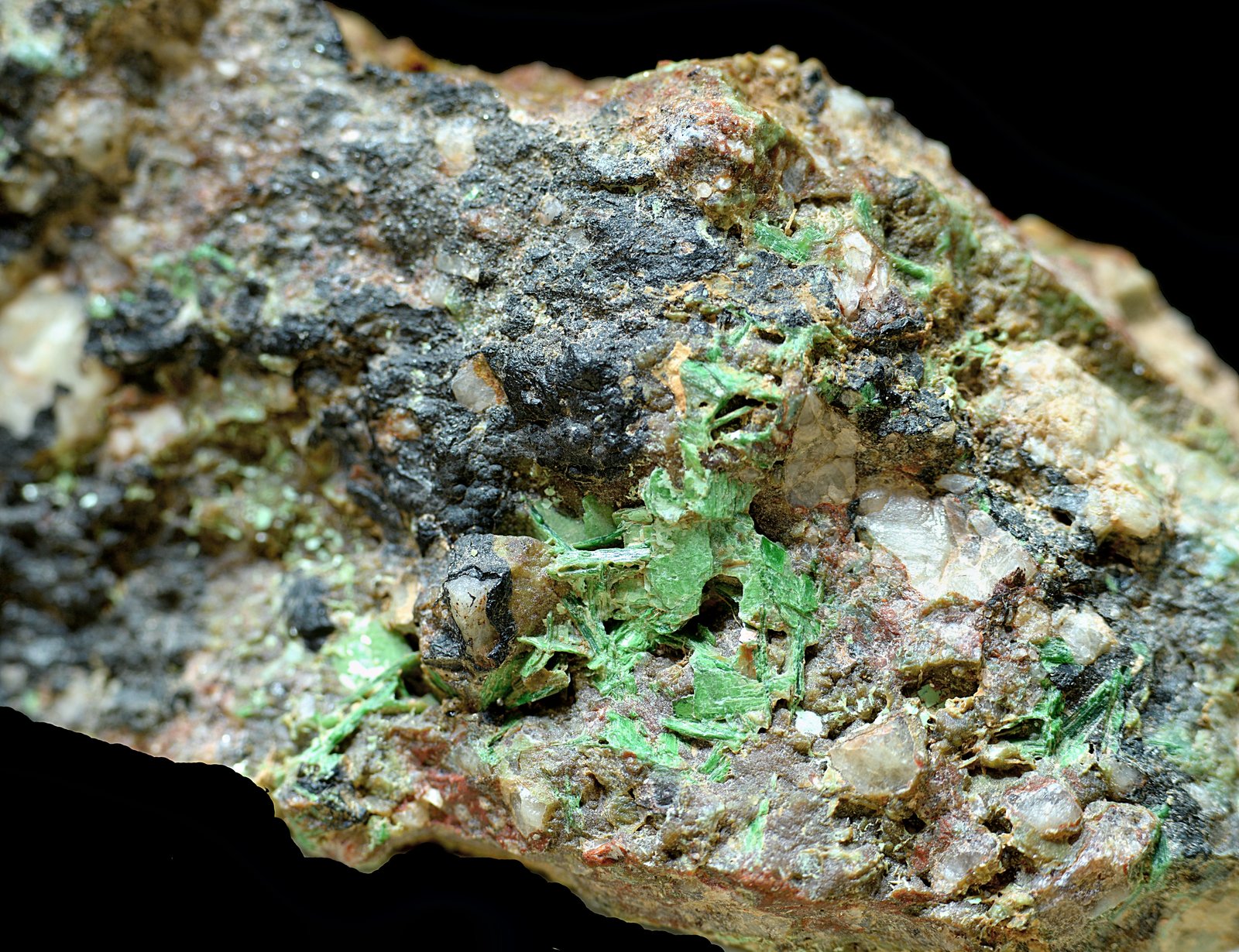 Torbernita
60 x 30 mm
(Autor: Antonio Carmona)