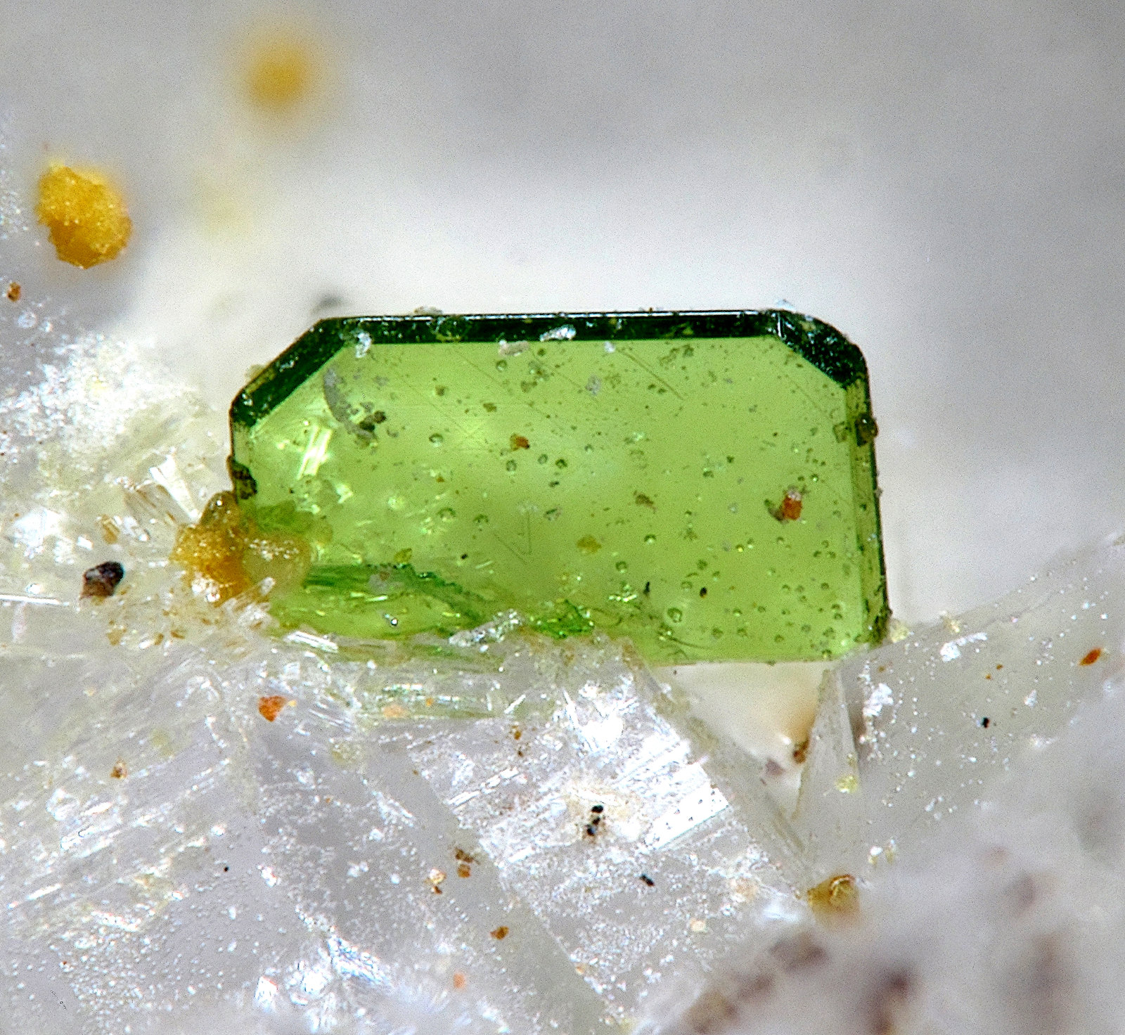 Torbernita
Campo de visión 0,7 mm.
(Autor: Antonio P. López)