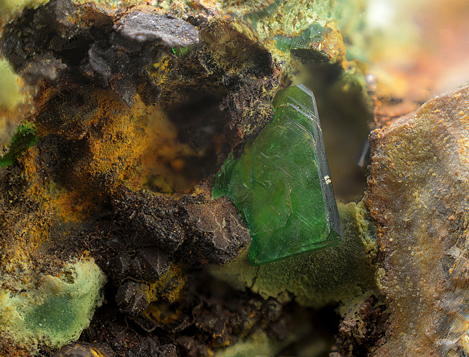 Torbernita
Campo de visión de 5 mm.
(Autor: Antonio Carmona)