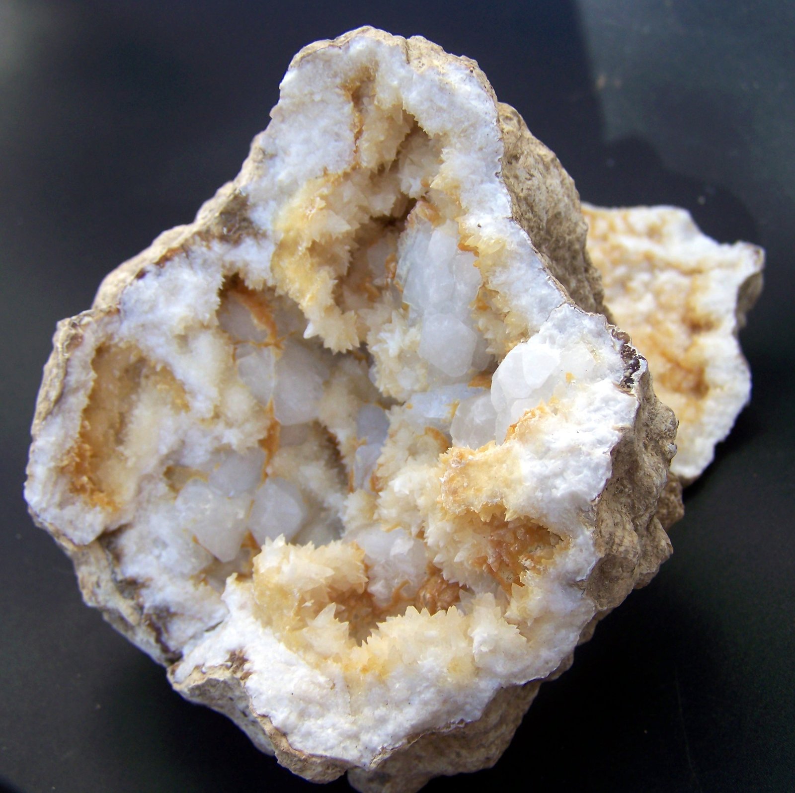 Celestina
14cm
(Autor: canada)