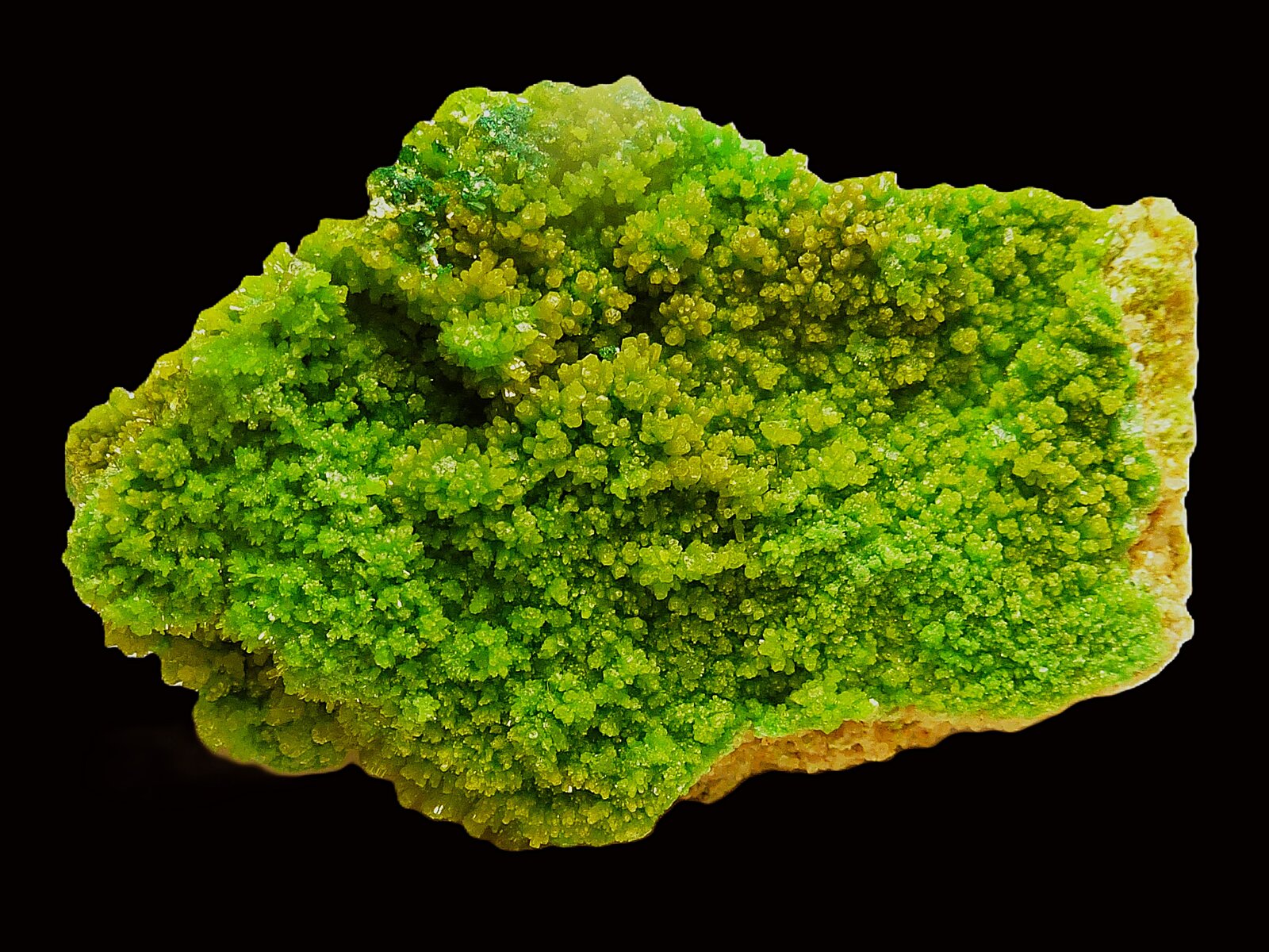 Piromorfita
5 x 3 cm.
(Autor: javier ruiz martin)