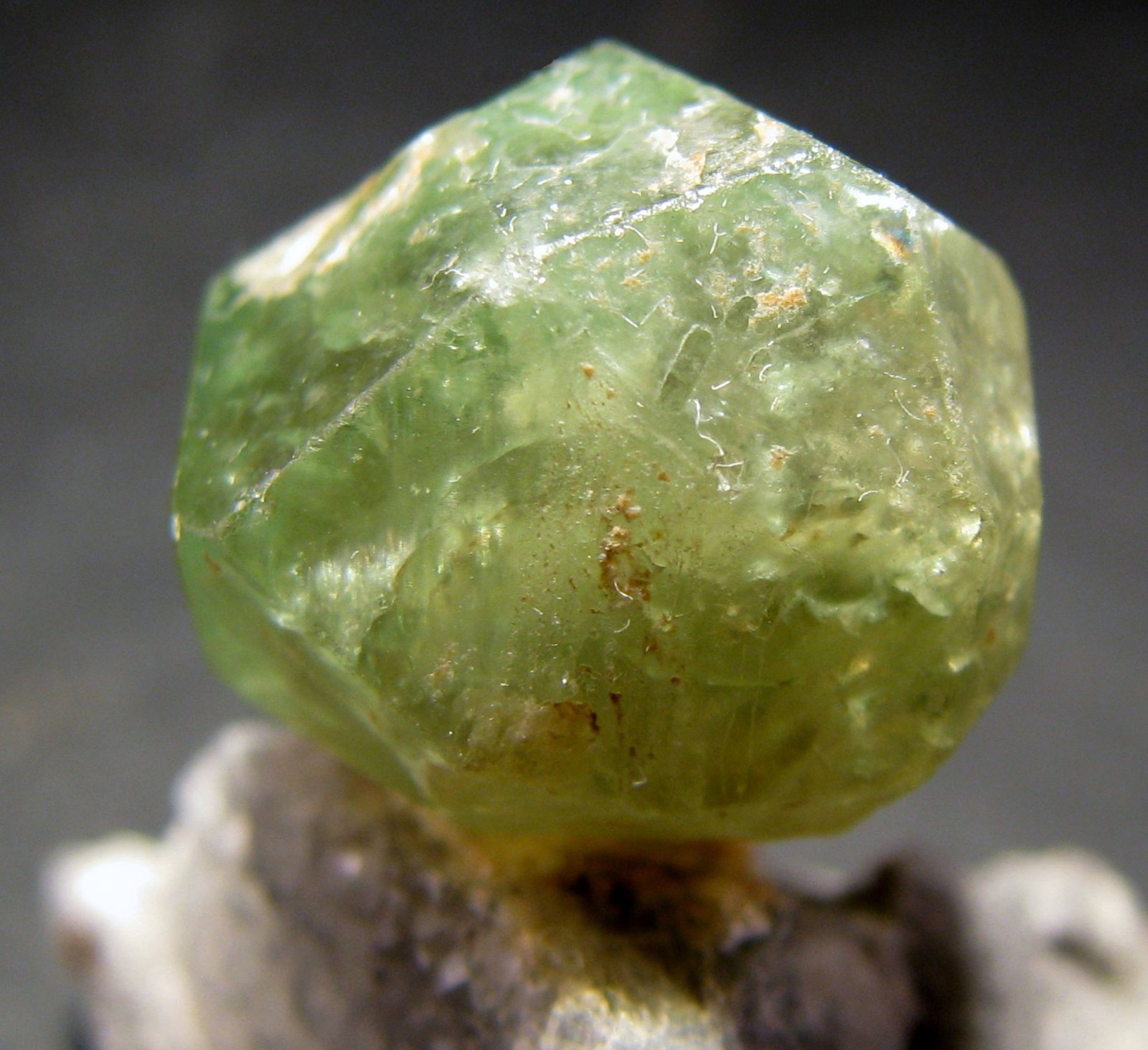 Grossularia (variedad tsavorita)
15 x 13 mm.
(Autor: José Luis Zamora)