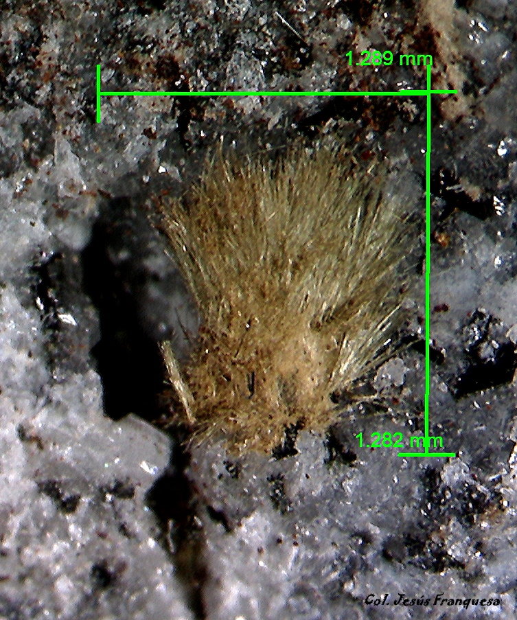 Tuperssuatsiaíta.
1´289 x 1´282 mm.
(Autor: Jesus Franquesa Baucells)